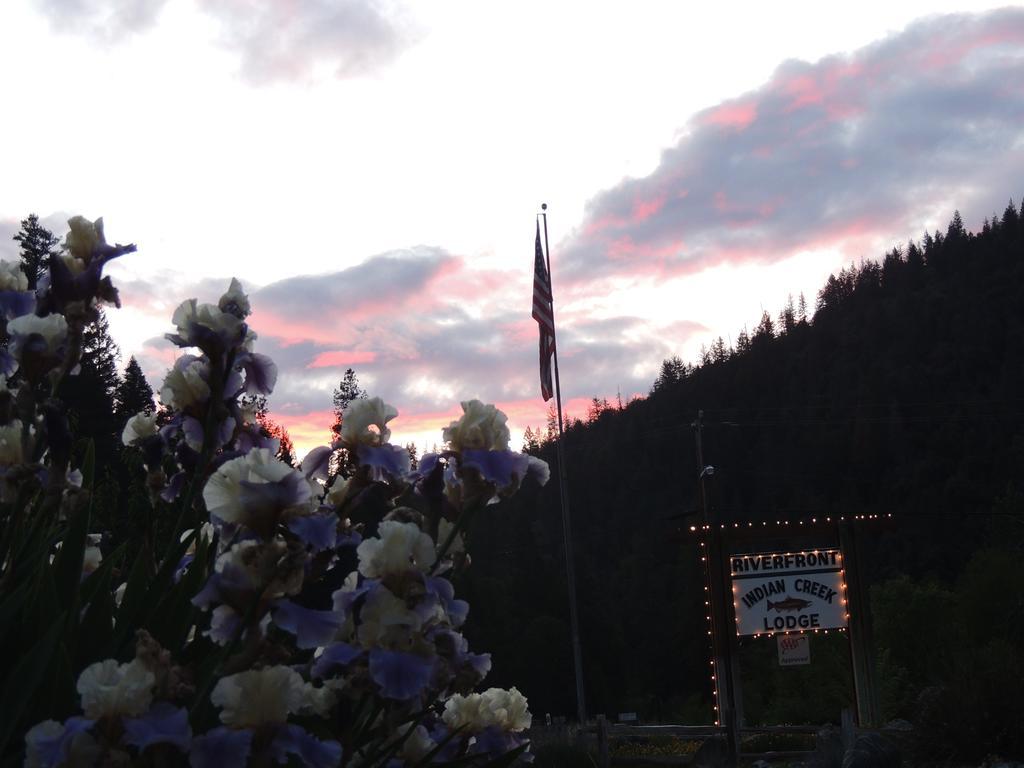 Indian Creek Lodge Douglas City Buitenkant foto