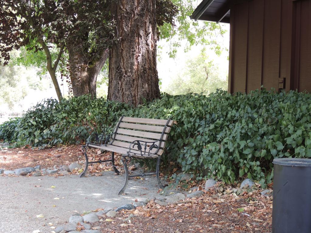 Indian Creek Lodge Douglas City Buitenkant foto